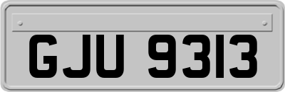 GJU9313