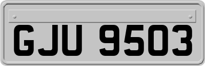 GJU9503