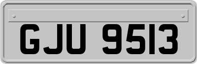 GJU9513