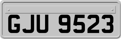 GJU9523