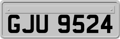 GJU9524