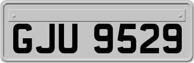 GJU9529