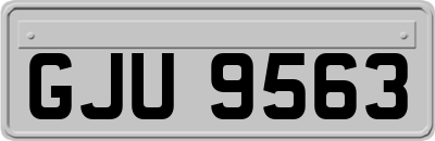 GJU9563