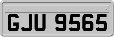 GJU9565