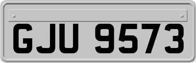 GJU9573