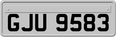 GJU9583