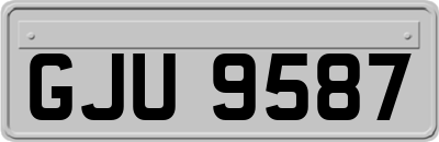 GJU9587