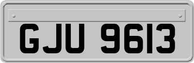GJU9613