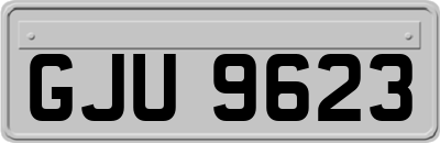 GJU9623
