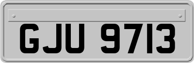 GJU9713