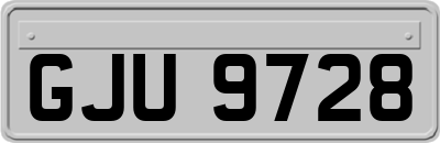GJU9728