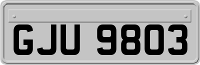 GJU9803