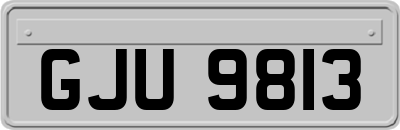 GJU9813