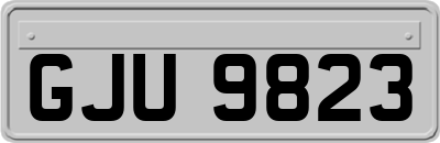 GJU9823