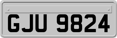 GJU9824