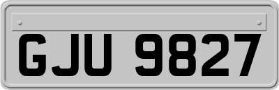 GJU9827