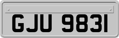 GJU9831