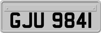 GJU9841