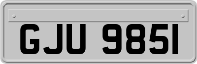 GJU9851