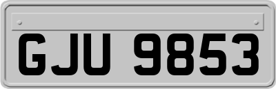 GJU9853