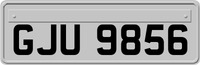 GJU9856