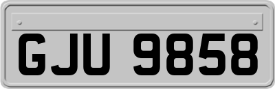 GJU9858