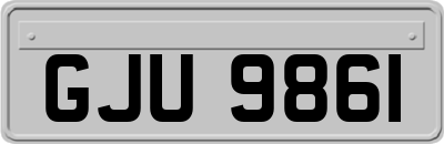 GJU9861
