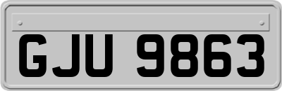 GJU9863