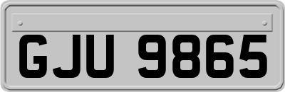 GJU9865