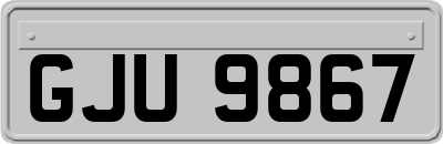 GJU9867