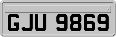 GJU9869