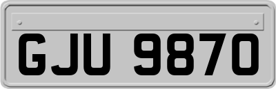GJU9870