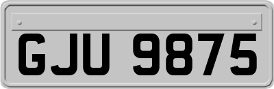 GJU9875
