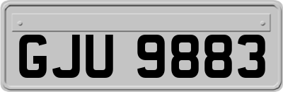 GJU9883