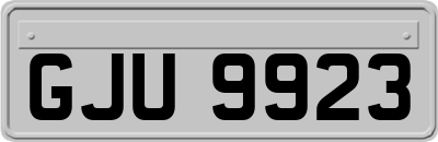 GJU9923