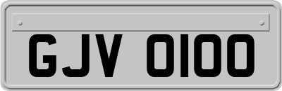 GJV0100