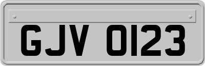 GJV0123