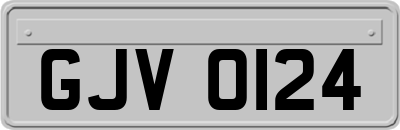 GJV0124