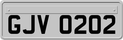 GJV0202
