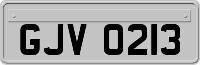 GJV0213