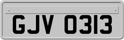 GJV0313