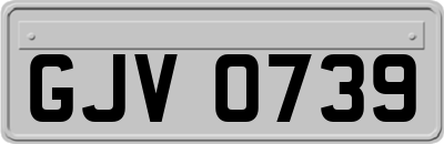 GJV0739