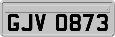 GJV0873
