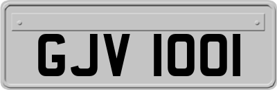 GJV1001