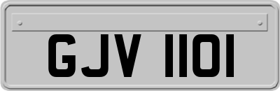 GJV1101