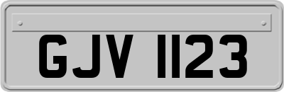 GJV1123