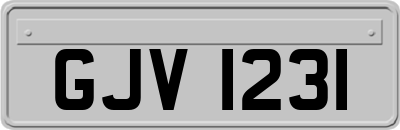 GJV1231