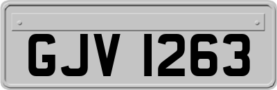 GJV1263