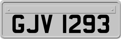 GJV1293