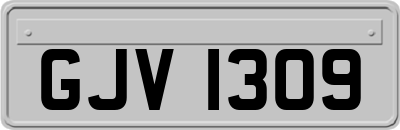GJV1309